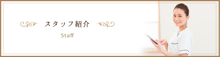 スタッフ紹介
